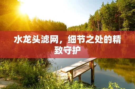 水龙头滤网，细节之处的精致守护