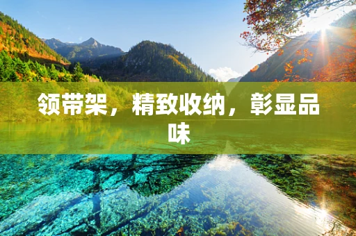 领带架，精致收纳，彰显品味