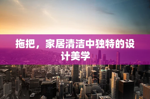 拖把，家居清洁中独特的设计美学