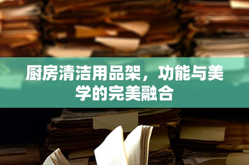 厨房清洁用品架，功能与美学的完美融合