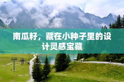 南瓜籽，藏在小种子里的设计灵感宝藏