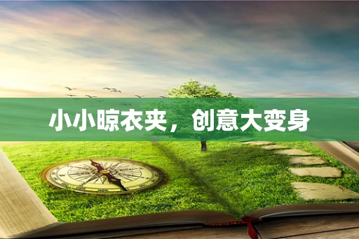 小小晾衣夹，创意大变身
