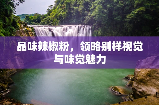 品味辣椒粉，领略别样视觉与味觉魅力