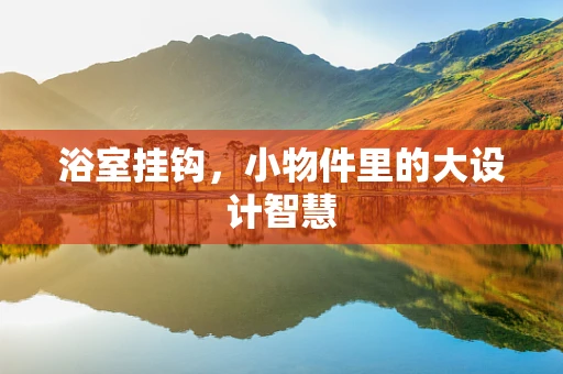 浴室挂钩，小物件里的大设计智慧