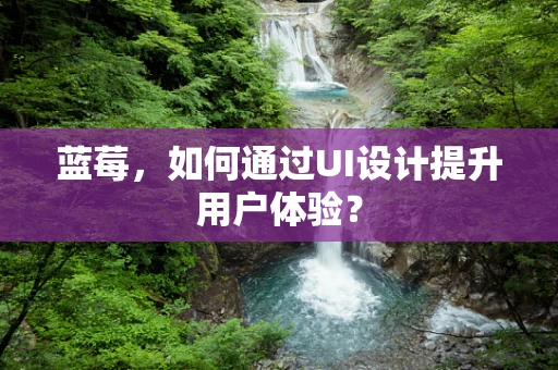 蓝莓，如何通过UI设计提升用户体验？