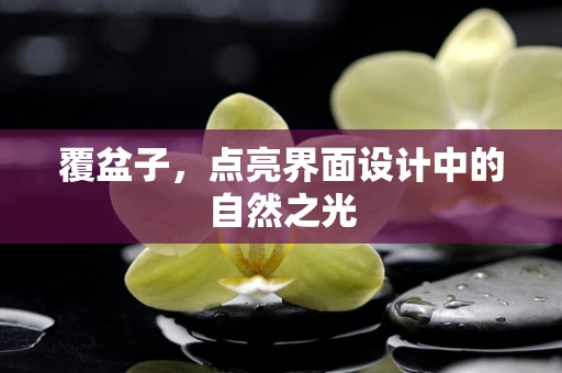 覆盆子，点亮界面设计中的自然之光