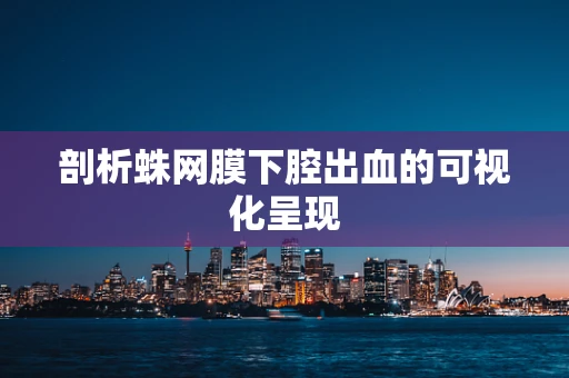 剖析蛛网膜下腔出血的可视化呈现