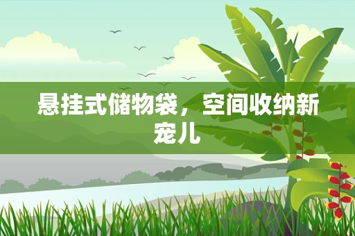 悬挂式储物袋，空间收纳新宠儿