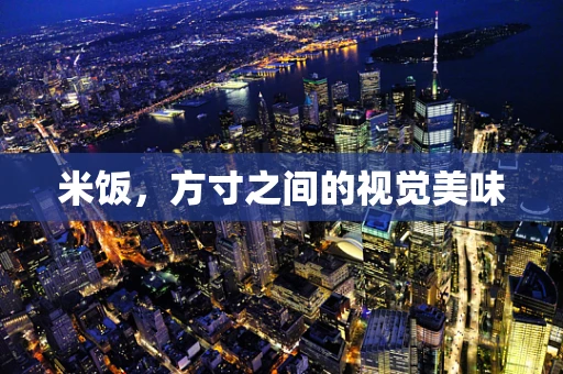 米饭，方寸之间的视觉美味