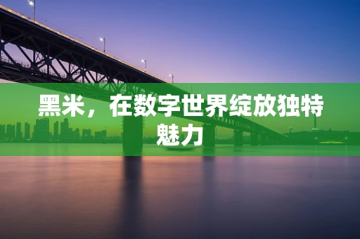 黑米，在数字世界绽放独特魅力