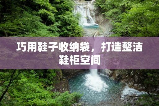 巧用鞋子收纳袋，打造整洁鞋柜空间