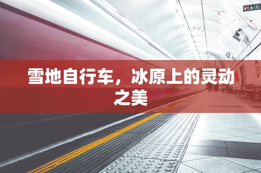 雪地自行车，冰原上的灵动之美