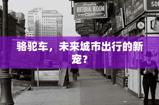 骆驼车，未来城市出行的新宠？
