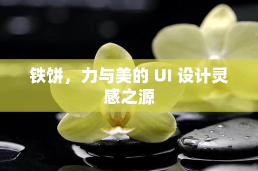 铁饼，力与美的 UI 设计灵感之源