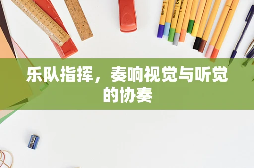 乐队指挥，奏响视觉与听觉的协奏