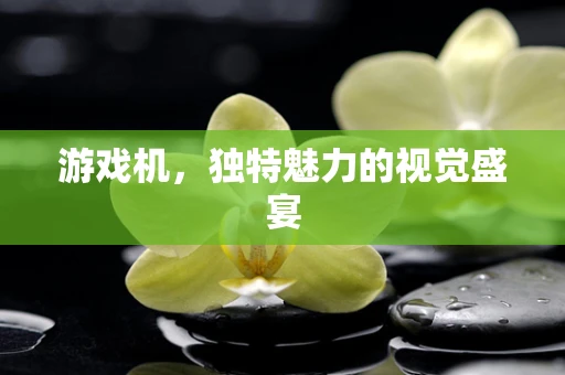 游戏机，独特魅力的视觉盛宴