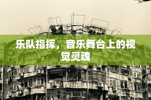 乐队指挥，音乐舞台上的视觉灵魂