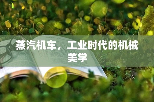 蒸汽机车，工业时代的机械美学