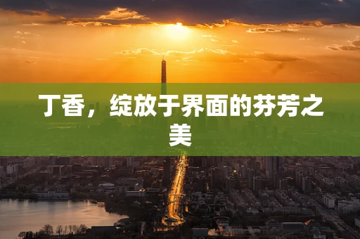 丁香，绽放于界面的芬芳之美