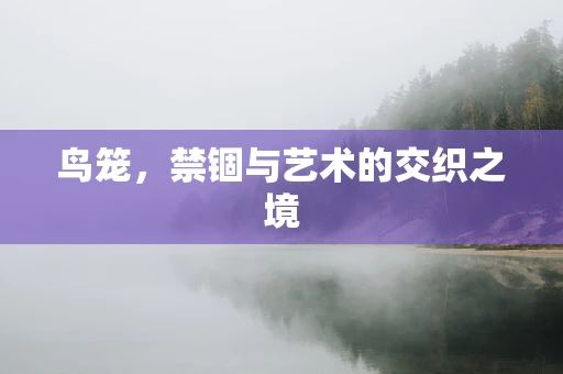 鸟笼，禁锢与艺术的交织之境