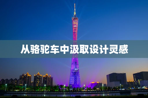 从骆驼车中汲取设计灵感