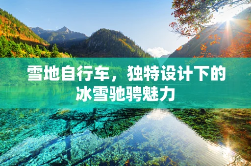 雪地自行车，独特设计下的冰雪驰骋魅力