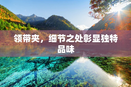领带夹，细节之处彰显独特品味