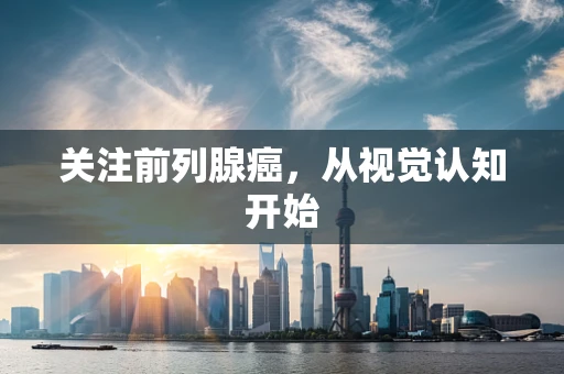 关注前列腺癌，从视觉认知开始