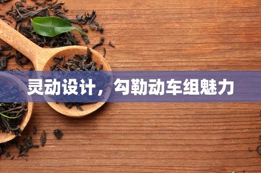 灵动设计，勾勒动车组魅力