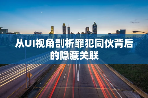 从UI视角剖析罪犯同伙背后的隐藏关联