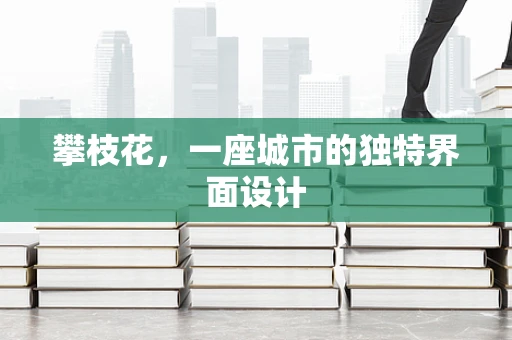 攀枝花，一座城市的独特界面设计