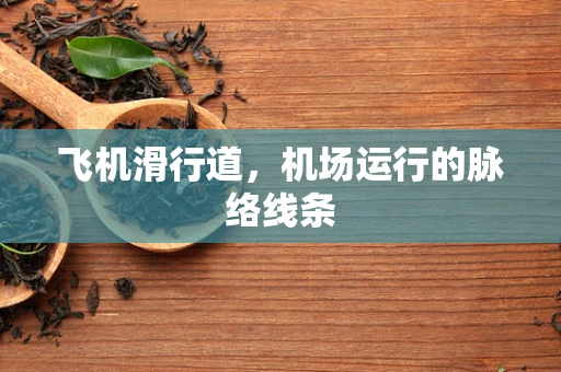 飞机滑行道，机场运行的脉络线条