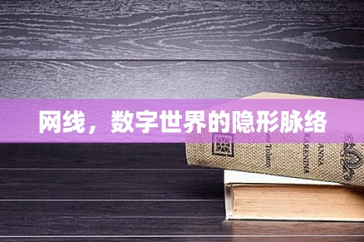 网线，数字世界的隐形脉络