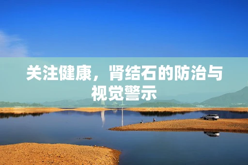 关注健康，肾结石的防治与视觉警示