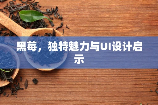黑莓，独特魅力与UI设计启示