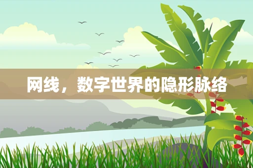 网线，数字世界的隐形脉络