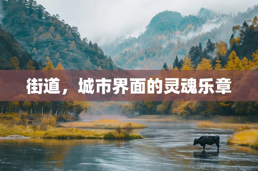 街道，城市界面的灵魂乐章