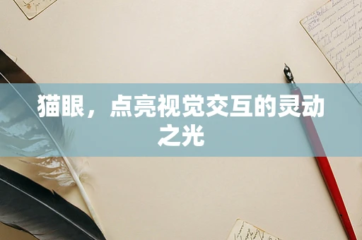 猫眼，点亮视觉交互的灵动之光