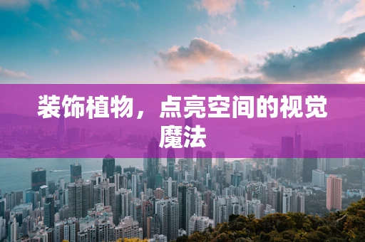 装饰植物，点亮空间的视觉魔法