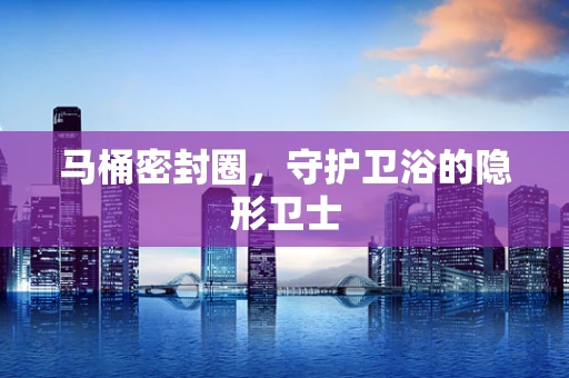 马桶密封圈，守护卫浴的隐形卫士