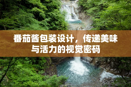 番茄酱包装设计，传递美味与活力的视觉密码