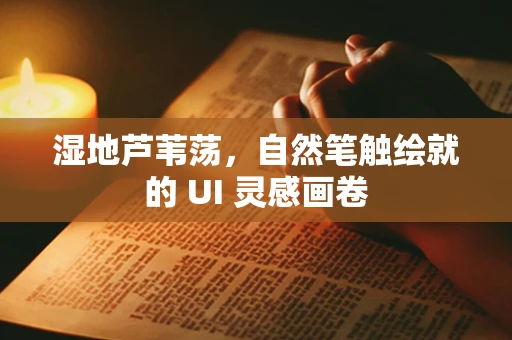 湿地芦苇荡，自然笔触绘就的 UI 灵感画卷