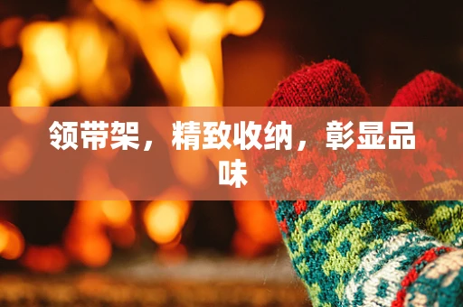 领带架，精致收纳，彰显品味