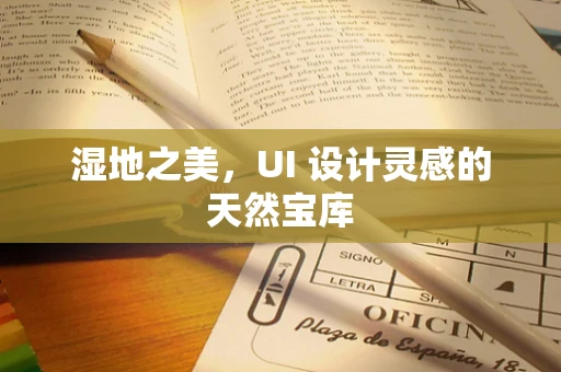 湿地之美，UI 设计灵感的天然宝库