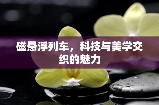 磁悬浮列车，科技与美学交织的魅力
