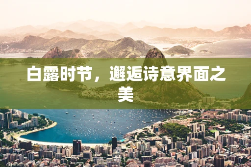 白露时节，邂逅诗意界面之美