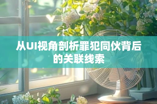 从UI视角剖析罪犯同伙背后的关联线索