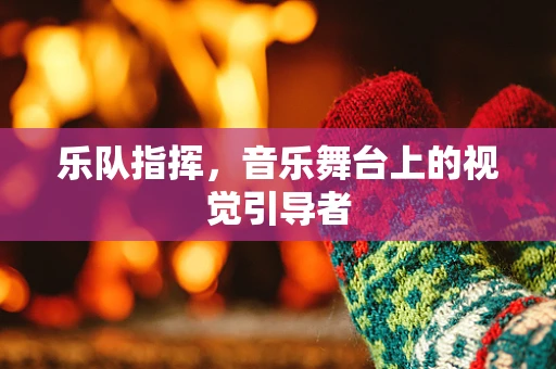 乐队指挥，音乐舞台上的视觉引导者