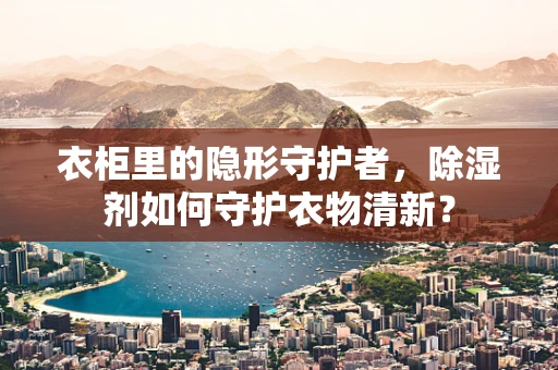 衣柜里的隐形守护者，除湿剂如何守护衣物清新？