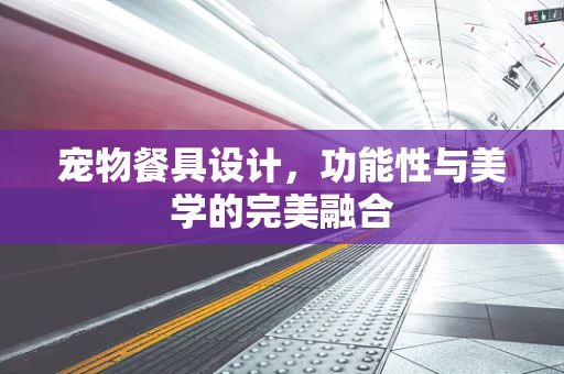 宠物餐具设计，功能性与美学的完美融合